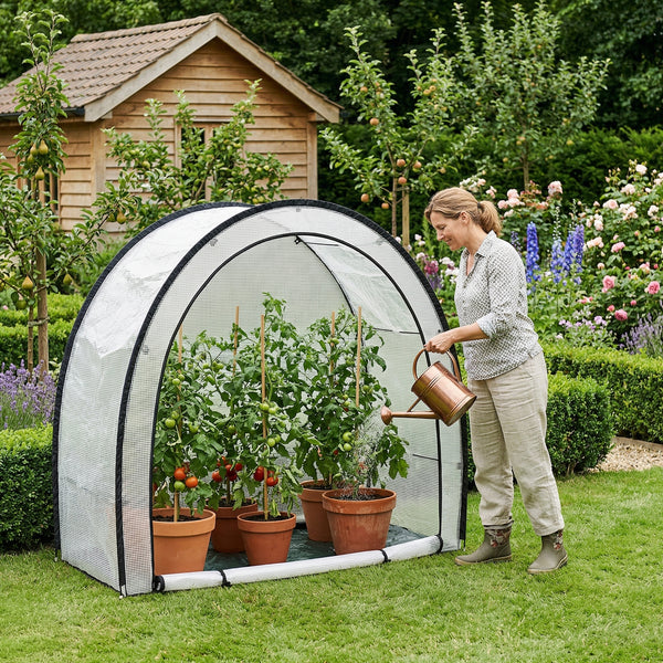 Szklarnia foliowa na pomidory Larshasas 180x80x170 cm Przezroczysta [en.casa]