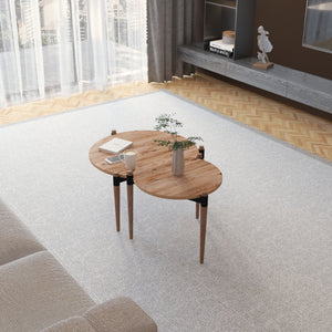 Stolik kawowy Kristinestad z 2 blatami naturalny [en.casa]