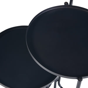 Stojak na rośliny Ostre z 3 półkami metalowymi [en.casa]