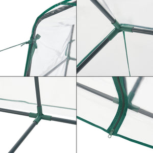 Szklarnia Hoorn z półkami 140x73x195cm Przezroczysta [en.casa]