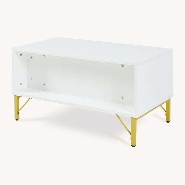 Stolik kawowy Reyri 80x45x42 cm Biały/Złoty