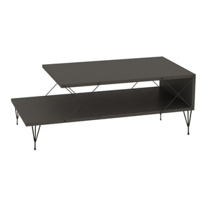 Stolik kawowy Asker 100x50x40 cm [en.casa]