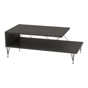 Stolik kawowy Asker 100x50x40 cm [en.casa]
