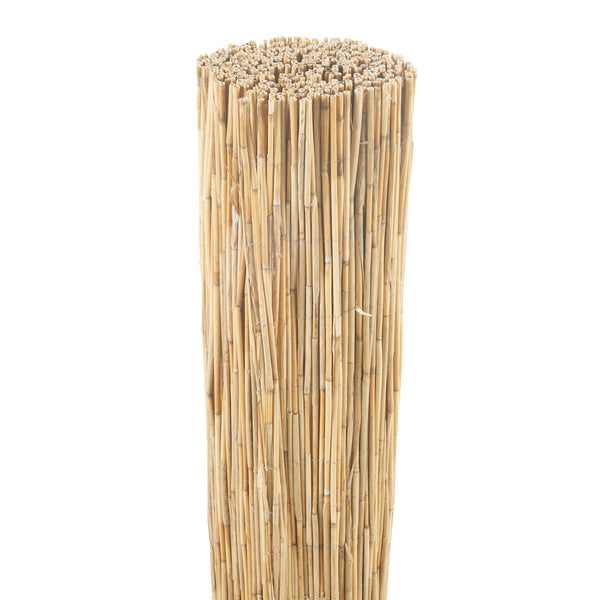 Płot trzcinowy Abbateggio [casa.pro]