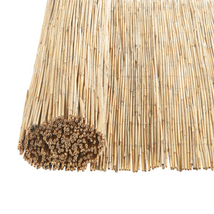 Płot trzcinowy Abbateggio [casa.pro]