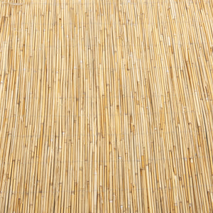 Płot trzcinowy Abbateggio [casa.pro]