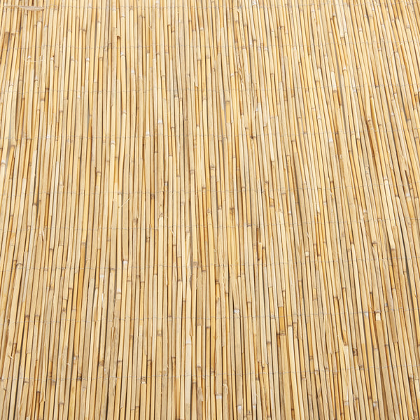 Płot trzcinowy Abbateggio [casa.pro]